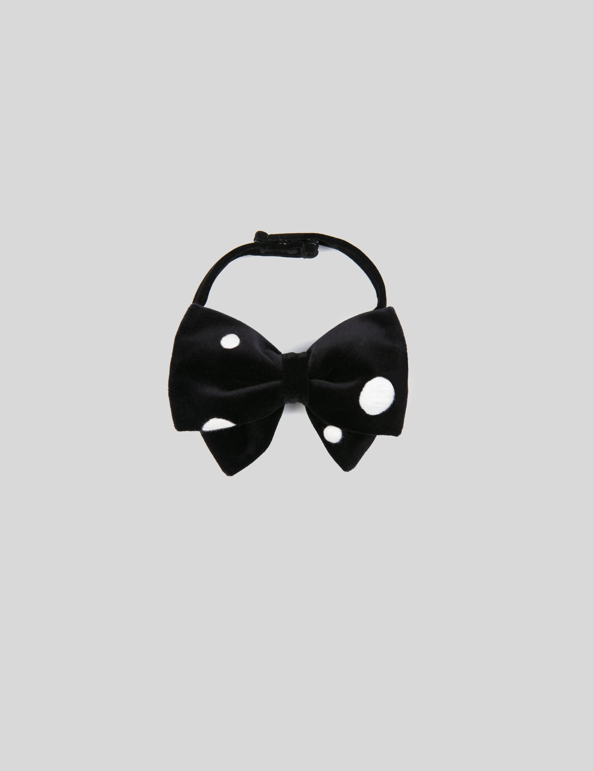 The Polka Bow
