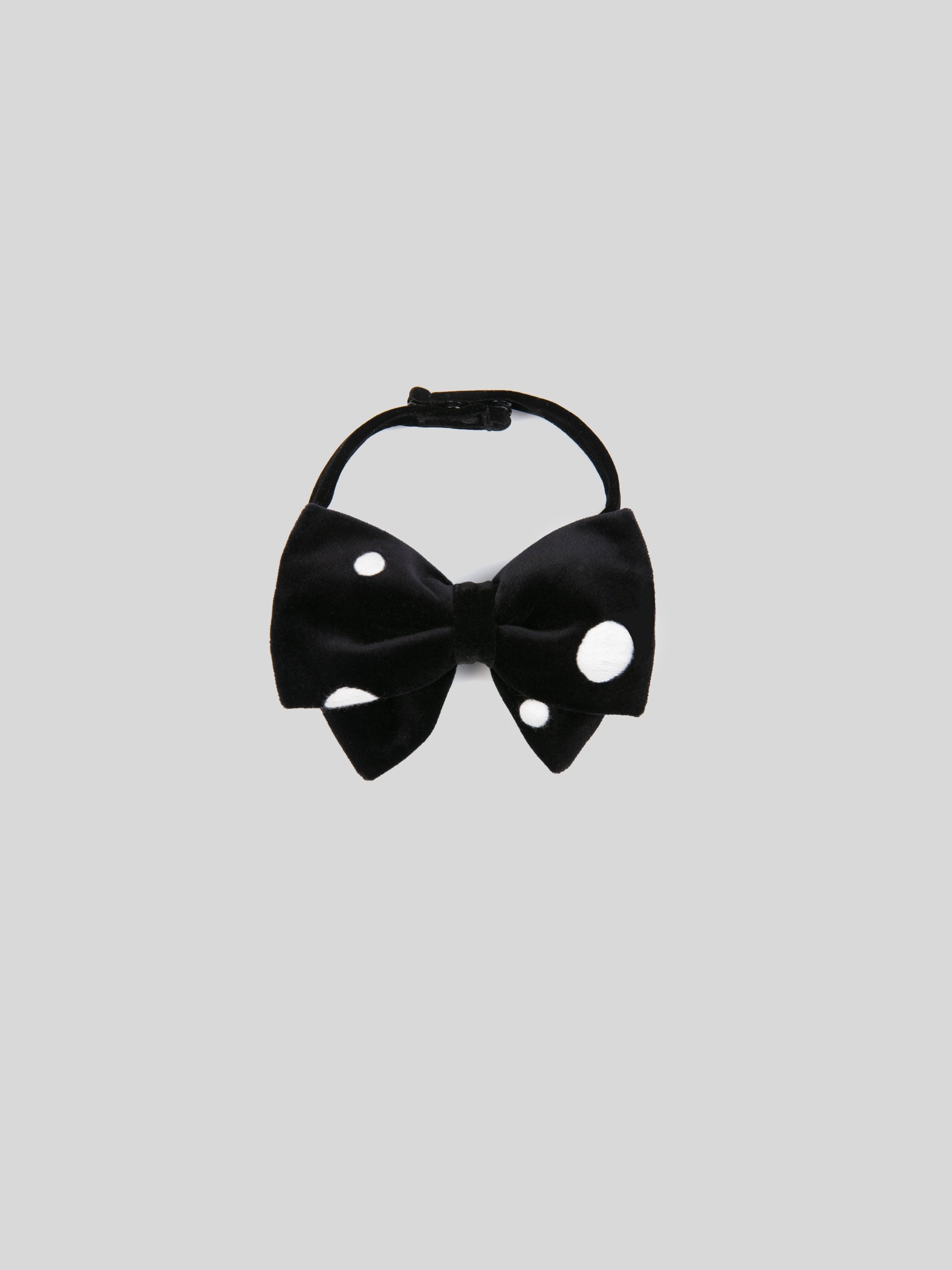The Polka Bow
