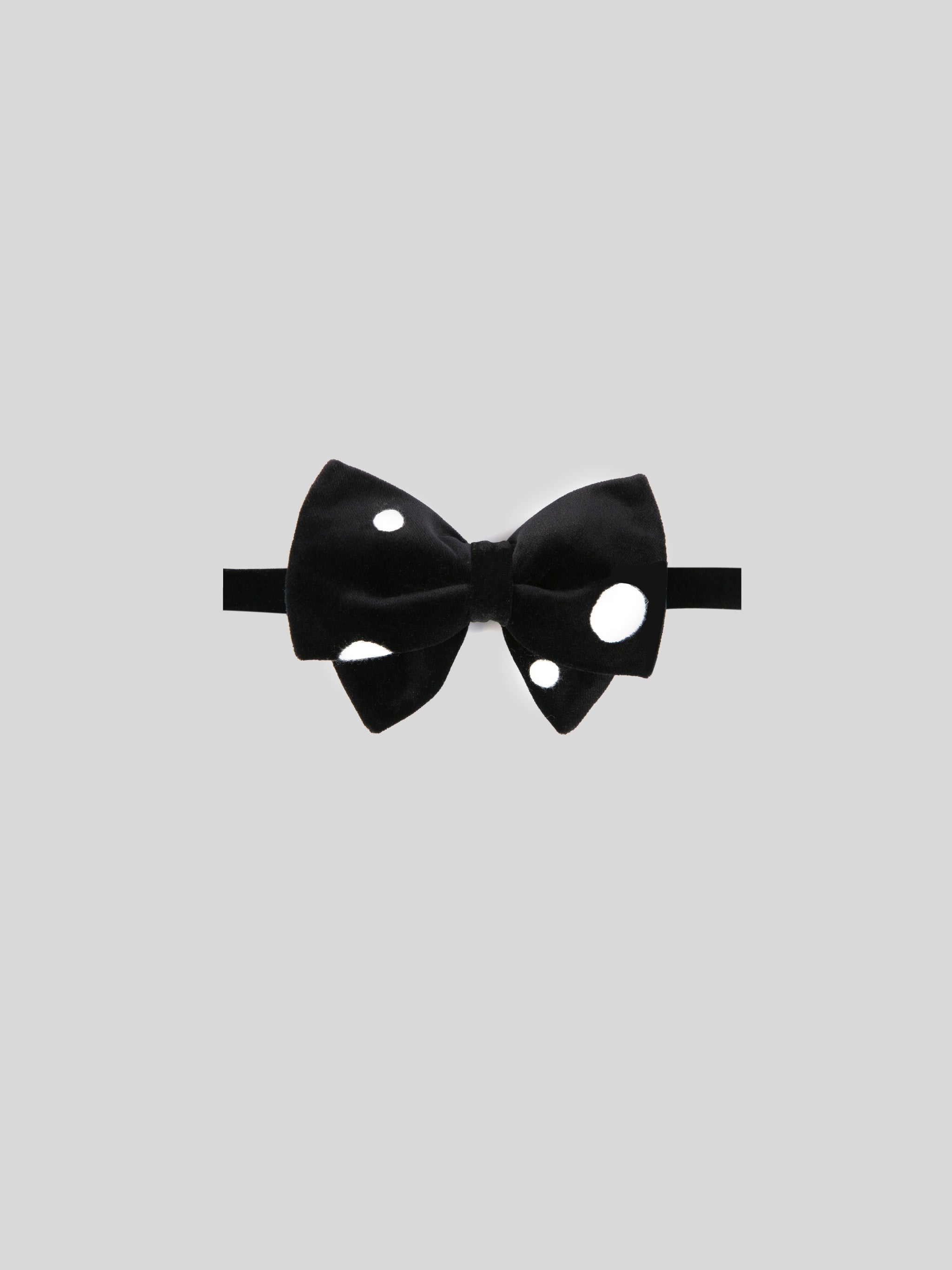 The Polka Bow
