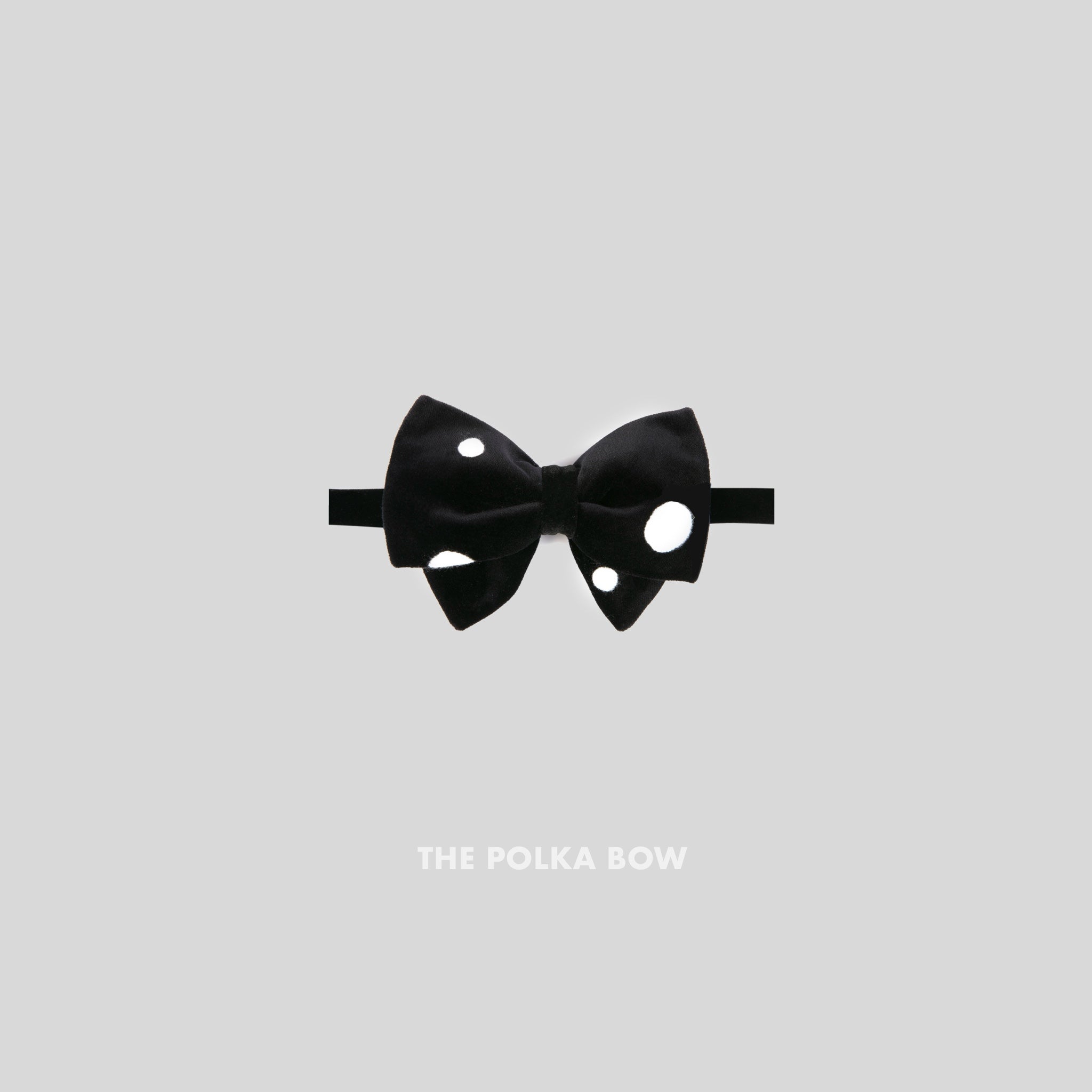 The Polka Bow
