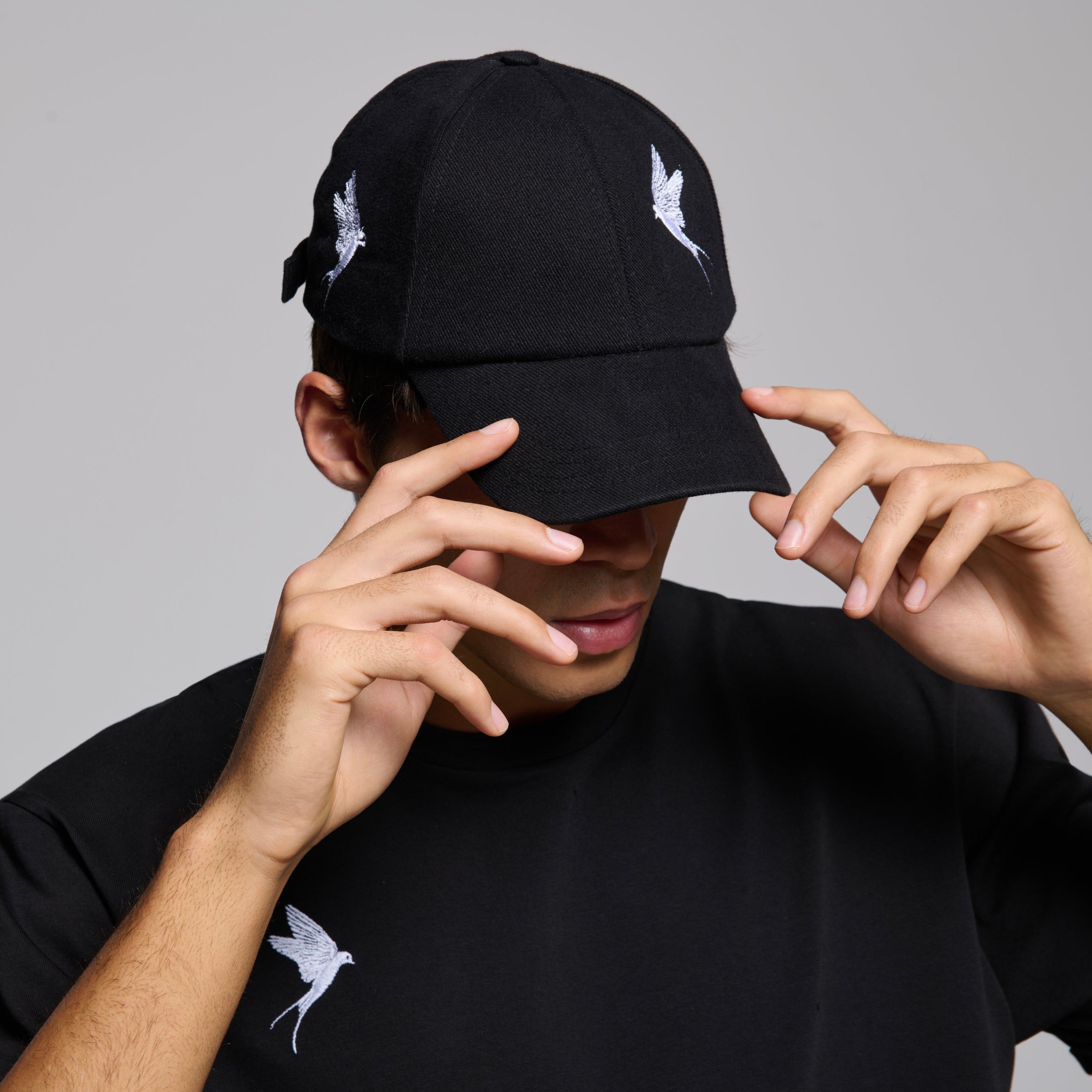 Flying Birds Hat
