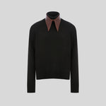 The Brown Collar Sweater
