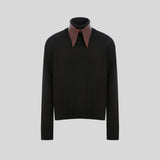 The Brown Collar Sweater
